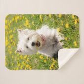 Kutest Baby Animals | Westie Dog in Dandelions Sherpa Deken (Voorkant (horizontaal))