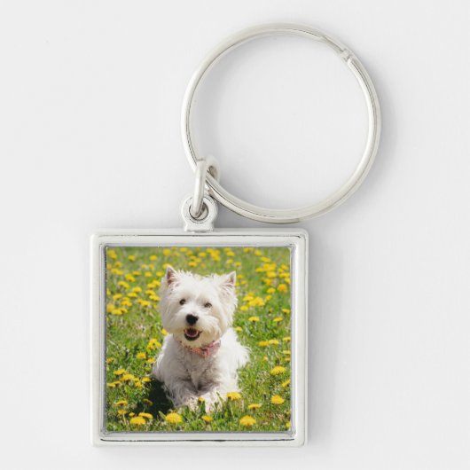 Kutest Baby Animals | Westie Dog in Dandelions Sleutelhanger (Voorkant)
