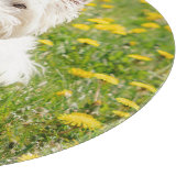Kutest Baby Animals | Westie Dog in Dandelions Snijplank (Hoek)