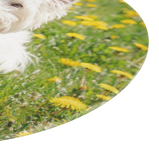 Kutest Baby Animals | Westie Dog in Dandelions Snijplank (Hoek)