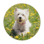 Kutest Baby Animals | Westie Dog in Dandelions Snijplank (Voorkant)