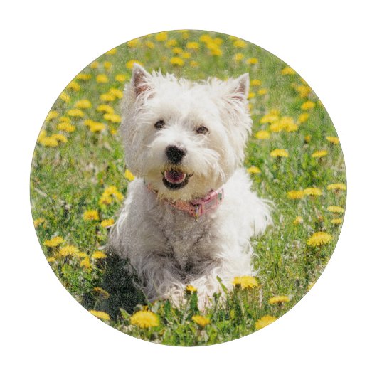 Kutest Baby Animals | Westie Dog in Dandelions Snijplank (Voorkant)