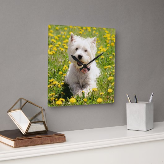 Kutest Baby Animals | Westie Dog in Dandelions Vierkante Klok (Kantoor)