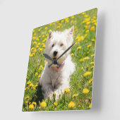 Kutest Baby Animals | Westie Dog in Dandelions Vierkante Klok (Hoek)