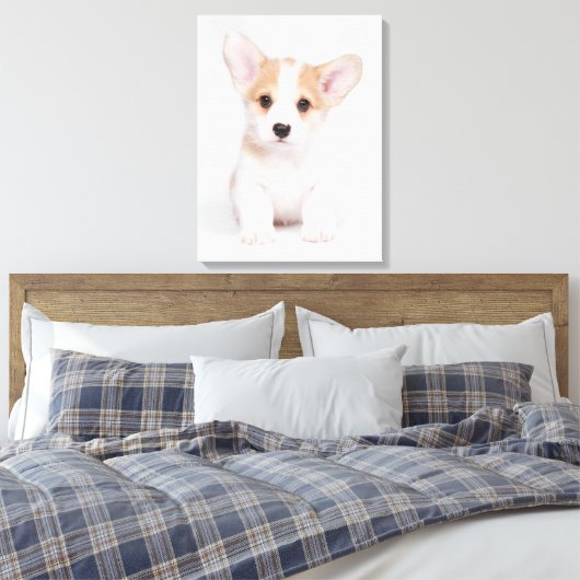 Kutest Baby Animals | White Corgi Puppy Canvas Afdruk (Insitu (Slaapkamer))