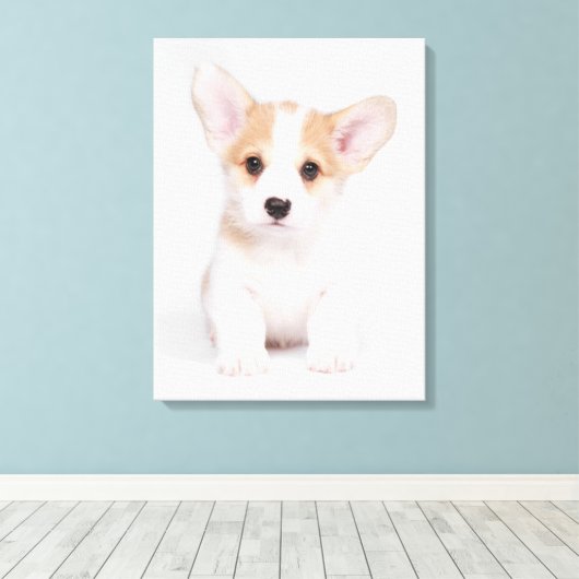 Kutest Baby Animals | White Corgi Puppy Canvas Afdruk (Insitu (Houten vloer))