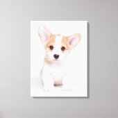 Kutest Baby Animals | White Corgi Puppy Canvas Afdruk (Voorkant)