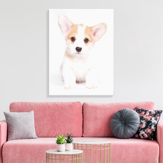 Kutest Baby Animals | White Corgi Puppy Canvas Afdruk (Insitu (Woonkamer))