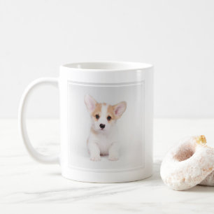Kutest Baby Animals   White Corgi Puppy Koffiemok