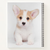 Kutest Baby Animals | White Corgi Puppy Notitieboek (Achterkant)