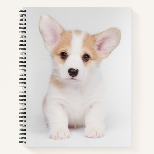 Kutest Baby Animals | White Corgi Puppy Notitieboek (Voorkant)