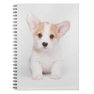 Kutest Baby Animals White Corgi Puppy Notitieboek