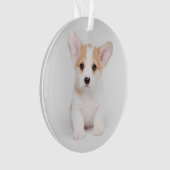 Kutest Baby Animals | White Corgi Puppy Ornament (voorkant)