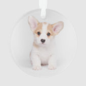 Kutest Baby Animals | White Corgi Puppy Ornament (achterkant)