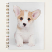 Kutest Baby Animals | White Corgi Puppy Planner (Voorkant)