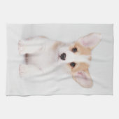 Kutest Baby Animals | White Corgi Puppy Theedoek (Horizontaal)