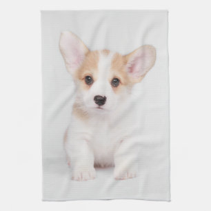 Kutest Baby Animals White Corgi Puppy Theedoek