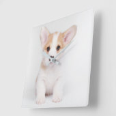 Kutest Baby Animals | White Corgi Puppy Vierkante Klok (Hoek)