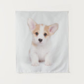 Kutest Baby Animals | White Corgi Puppy Wandkleed (Voorkant)