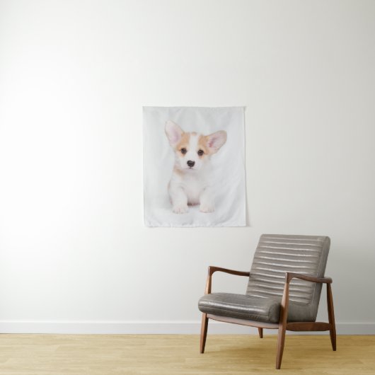 Kutest Baby Animals | White Corgi Puppy Wandkleed (In situ)