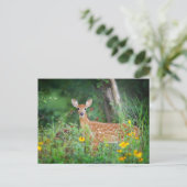 Kutest Baby Animals | White Tailed Deer in Daisies Briefkaart (Staand voorkant)