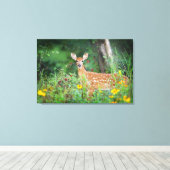 Kutest Baby Animals | White Tailed Deer in Daisies Canvas Afdruk (Insitu (Houten vloer))