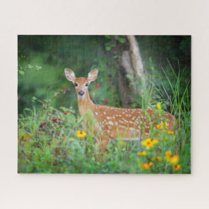 Kutest Baby Animals White Tailed Deer in Daisies Legpuzzel