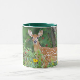 Kutest Baby Animals   White Tailed Deer in Daisies Mok