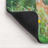 Kutest Baby Animals | White Tailed Deer in Daisies Muismat (Hoek)