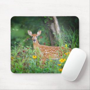 Kutest Baby Animals   White Tailed Deer in Daisies Muismat