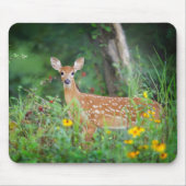 Kutest Baby Animals | White Tailed Deer in Daisies Muismat (Voorkant)