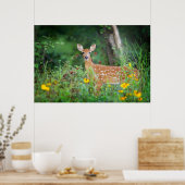 Kutest Baby Animals | White Tailed Deer in Daisies Poster (Keuken)