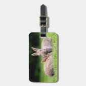 Kutest Baby Animals | Wild Bunny Rabbits Bagagelabel (Voorkant verticaal)