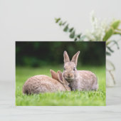 Kutest Baby Animals | Wild Bunny Rabbits Bedankkaart (Staand voorkant)