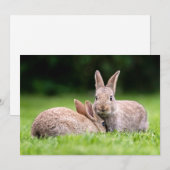 Kutest Baby Animals | Wild Bunny Rabbits Bedankkaart (Voorkant / Achterkant)