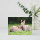 Kutest Baby Animals | Wild Bunny Rabbits Briefkaart (Staand voorkant)