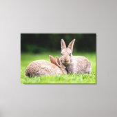 Kutest Baby Animals | Wild Bunny Rabbits Canvas Afdruk (Voorkant)