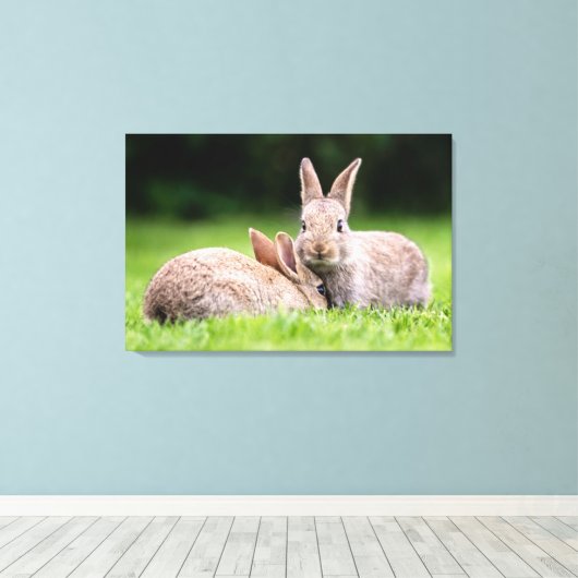Kutest Baby Animals | Wild Bunny Rabbits Canvas Afdruk (Insitu (Houten vloer))