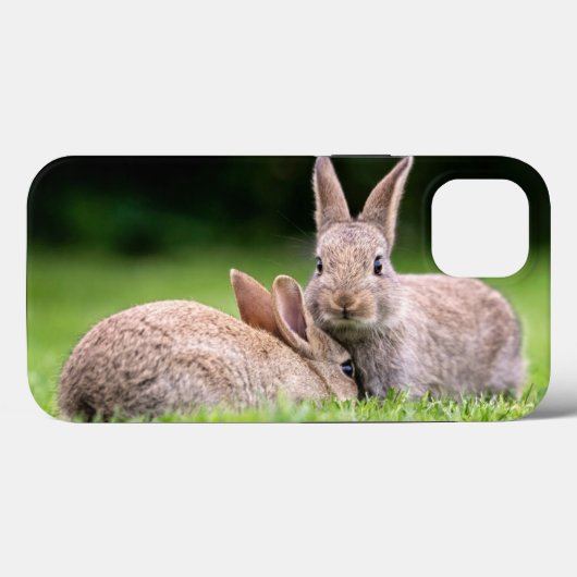Kutest Baby Animals | Wild Bunny Rabbits Case-Mate iPhone Case (Achterkant (horizontaal))