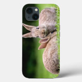 Kutest Baby Animals | Wild Bunny Rabbits Case-Mate iPhone Case (Achterkant)