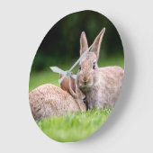 Kutest Baby Animals | Wild Bunny Rabbits Grote Klok (Hoek)