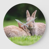 Kutest Baby Animals | Wild Bunny Rabbits Grote Klok (Voorkant)