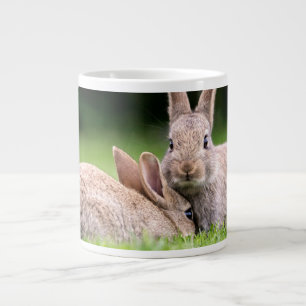 Kutest Baby Animals   Wild Bunny Rabbits Grote Koffiekop