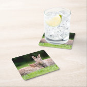 Kutest Baby Animals | Wild Bunny Rabbits Kartonnen Onderzetters (Insitu)