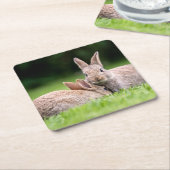 Kutest Baby Animals | Wild Bunny Rabbits Kartonnen Onderzetters (Schuin)