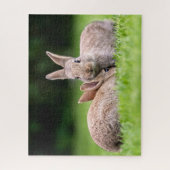 Kutest Baby Animals | Wild Bunny Rabbits Legpuzzel (Verticaal)