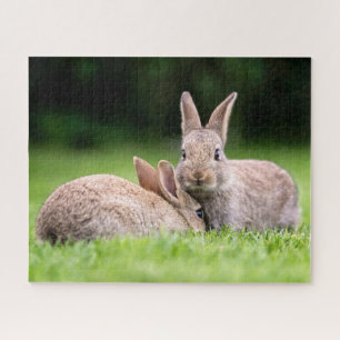 Kutest Baby Animals   Wild Bunny Rabbits Legpuzzel