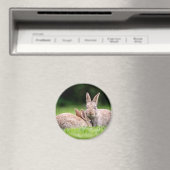 Kutest Baby Animals | Wild Bunny Rabbits Magneet (Insitu (Vaatwasser))