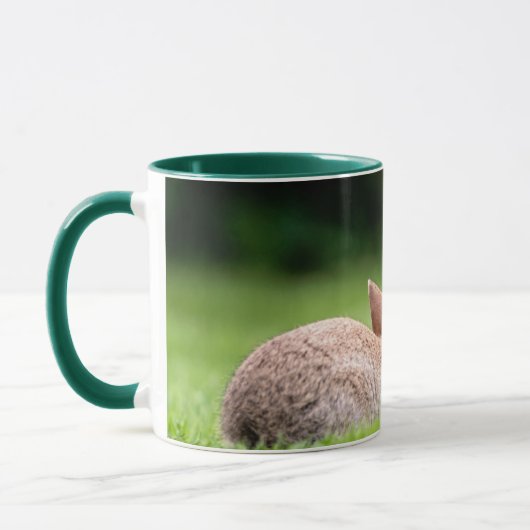 Kutest Baby Animals | Wild Bunny Rabbits Mok (Links)