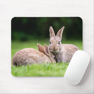 Kutest Baby Animals Wild Bunny Rabbits Muismat